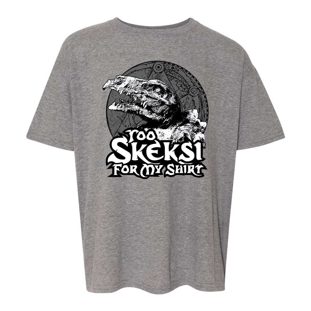 Kids T-Shirt - EM4LYQFZ - Graphite Heather - 12