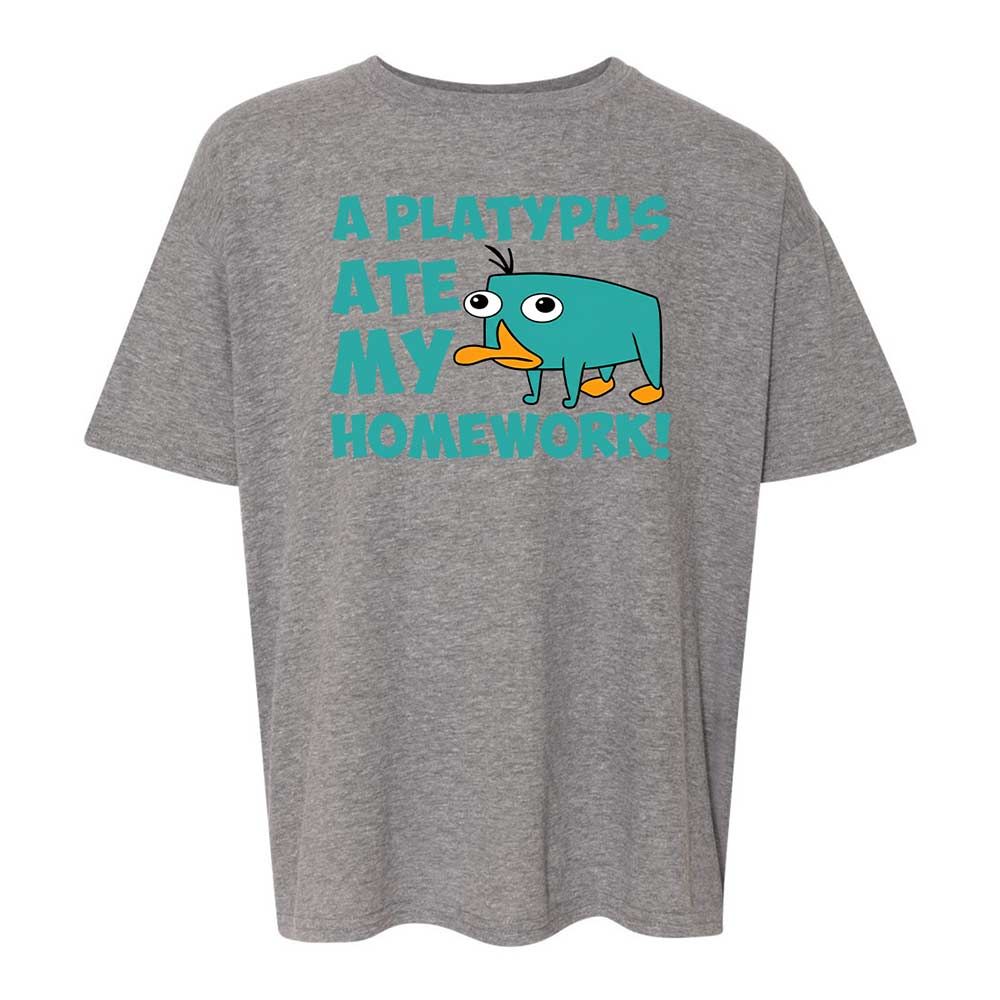 Kids T-Shirt - DA3TH5ZN - Graphite Heather - 12