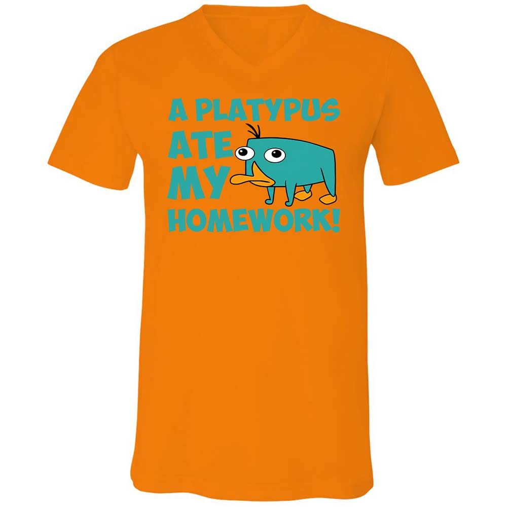 Unisex V-Neck T-Shirt - 5LF2ZZDD - Orange - 12