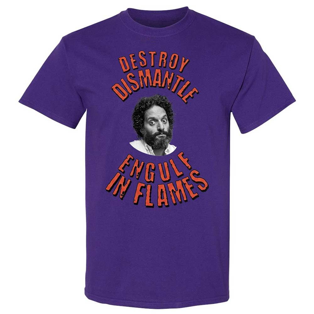 Destroy, Dismantle, Engulf in Flames - Purple - 12