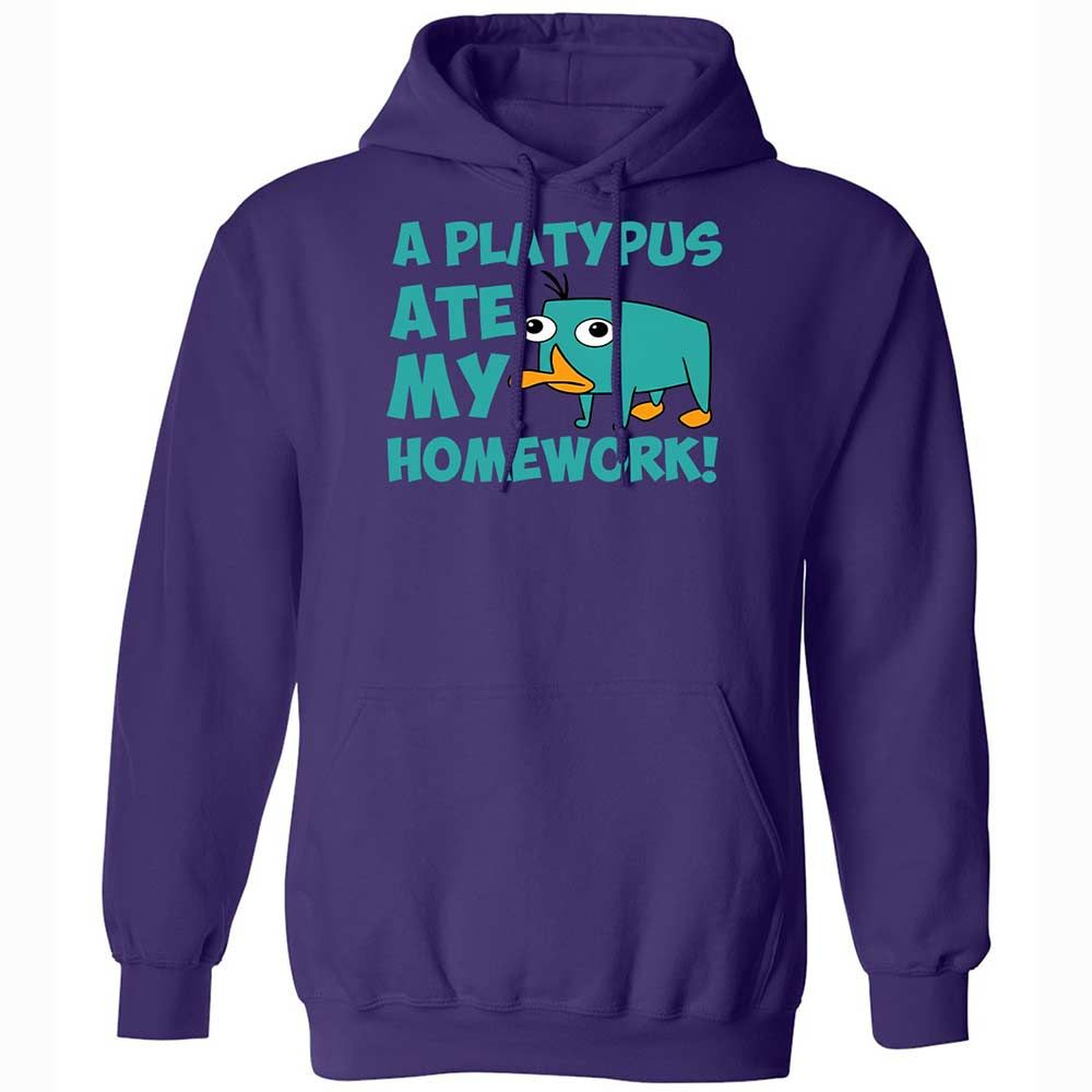 Classic Unisex Hoodie - 6LCQ1Y8Y - Purple - 12
