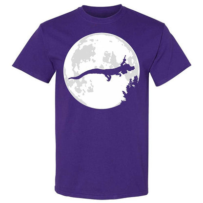 Falkor Moon - Purple - 12