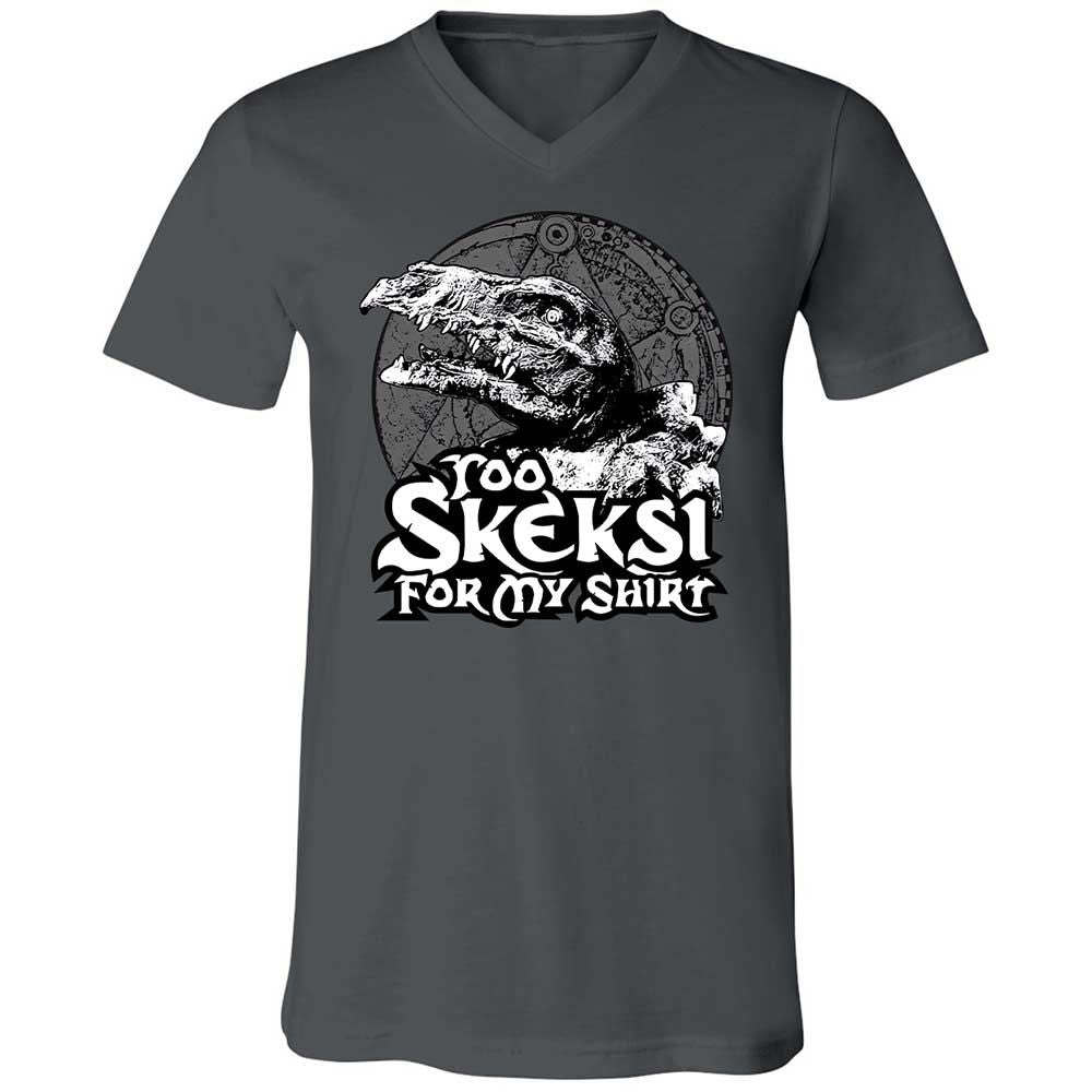 Unisex V-Neck T-Shirt - D7Z6V5R3 - Asphalt - 13