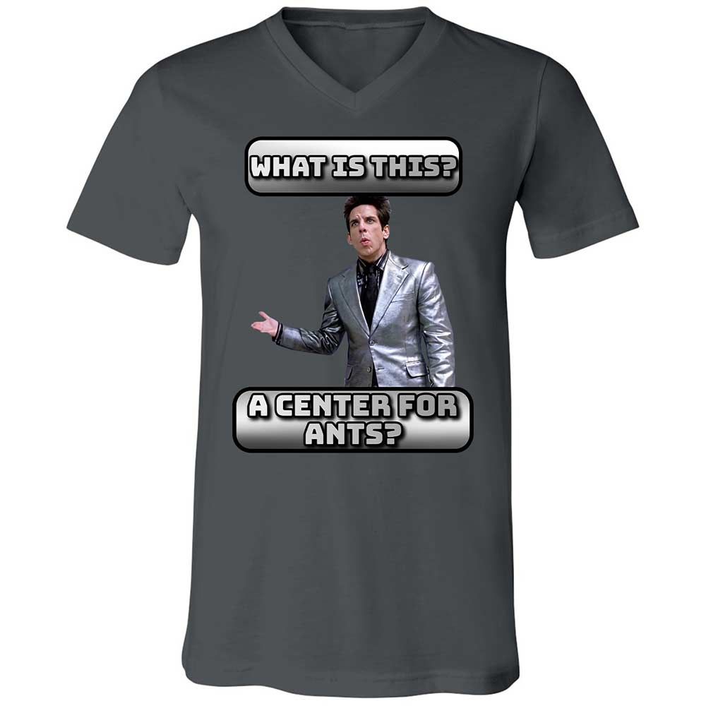 Unisex V-Neck T-Shirt - FKSFQMZ8 - Asphalt - 13