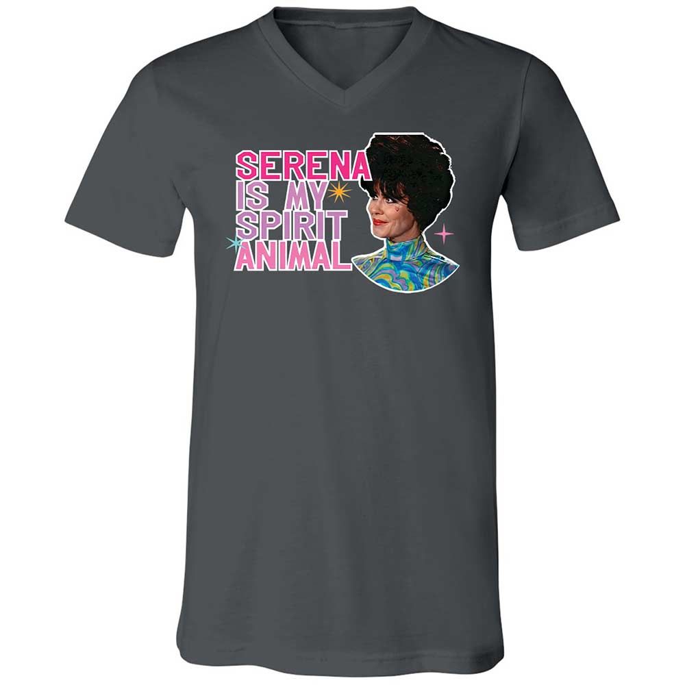 Unisex V-Neck T-Shirt - GLVFC7Q1 - Asphalt - 13