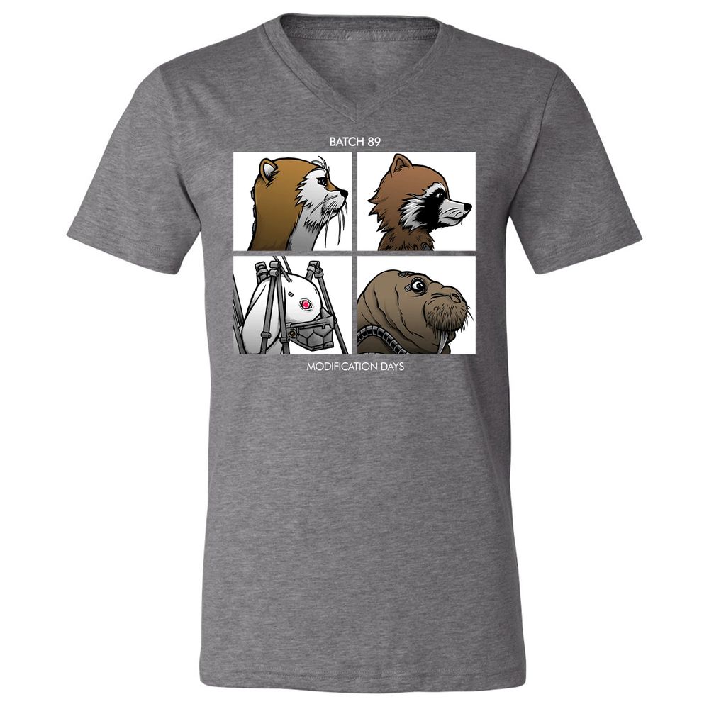 Unisex V-Neck T-Shirt - Z35HQ3ZJ - Deep Heather - 13