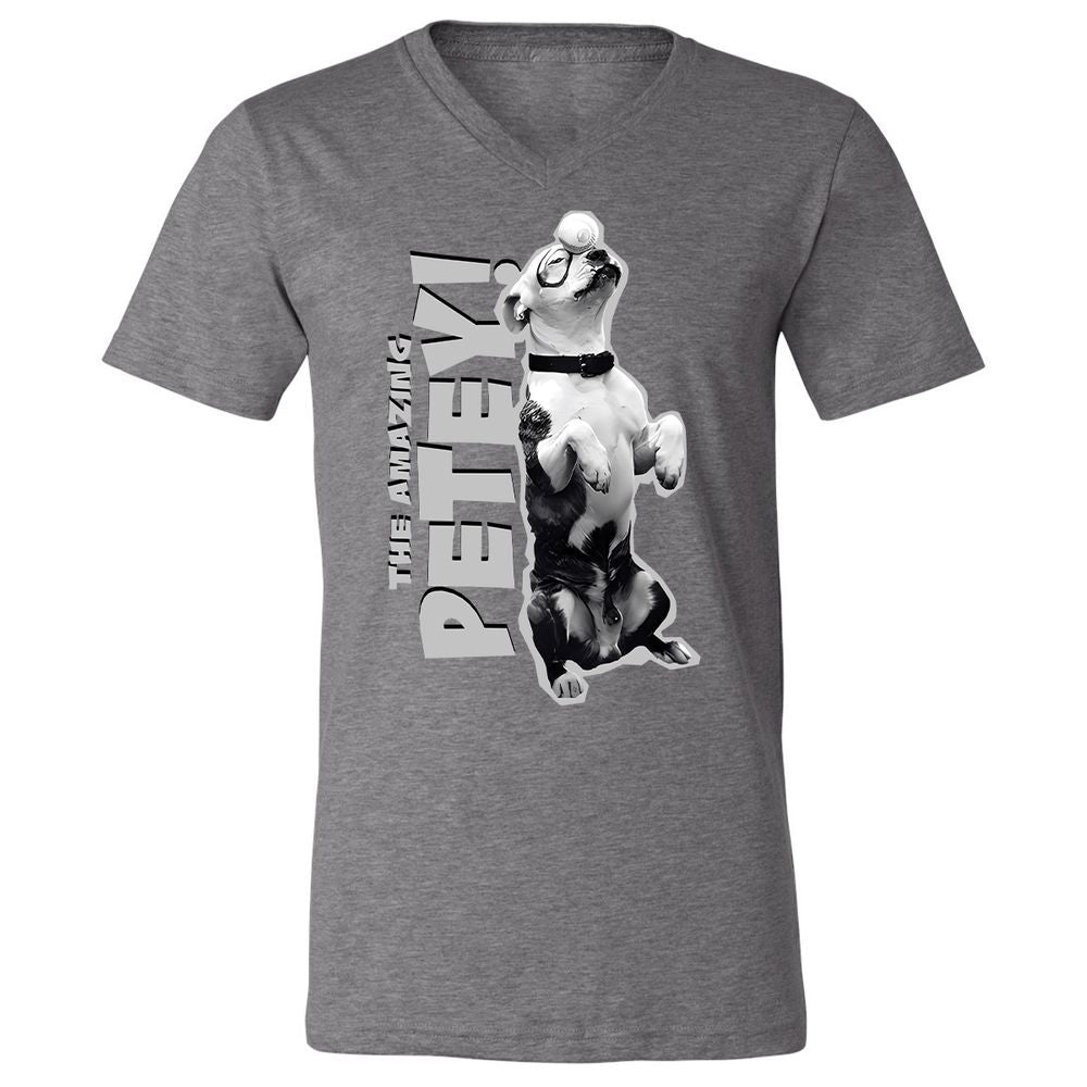 Unisex V-Neck T-Shirt - GTA4QVXH - Deep Heather - 13