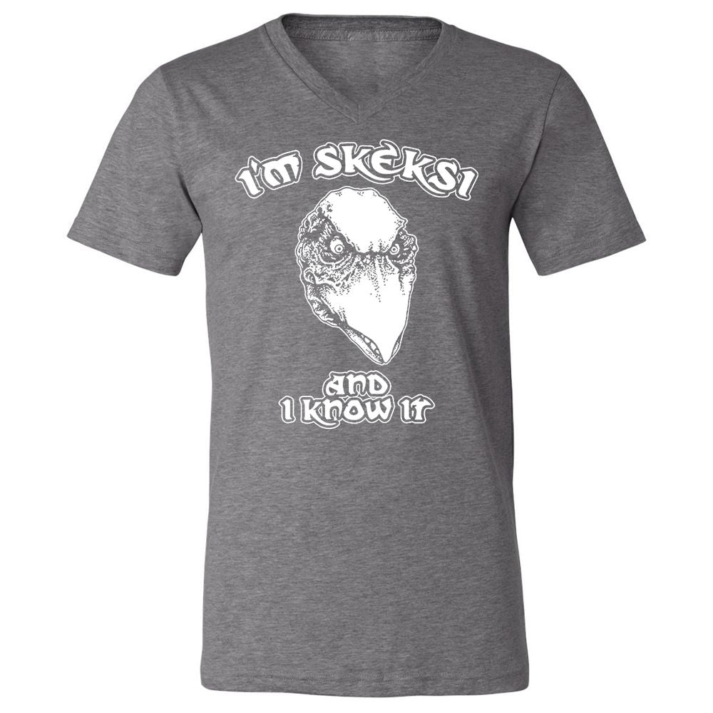 Unisex V-Neck T-Shirt - AGCXZ1HQ - Deep Heather - 13