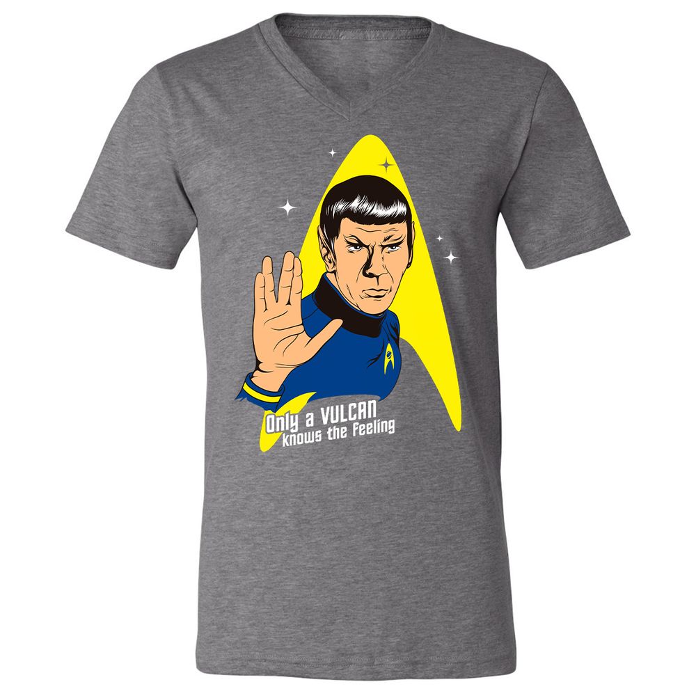 Unisex V-Neck T-Shirt - 9JQPN2ZJ - Deep Heather - 13