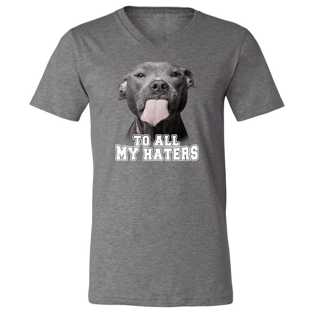 Unisex V-Neck T-Shirt - 3Z36GRAF - Deep Heather - 13