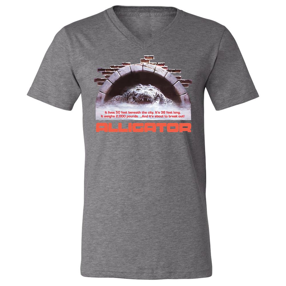 Unisex V-Neck T-Shirt - 2ZSVGE16 - Deep Heather - 13