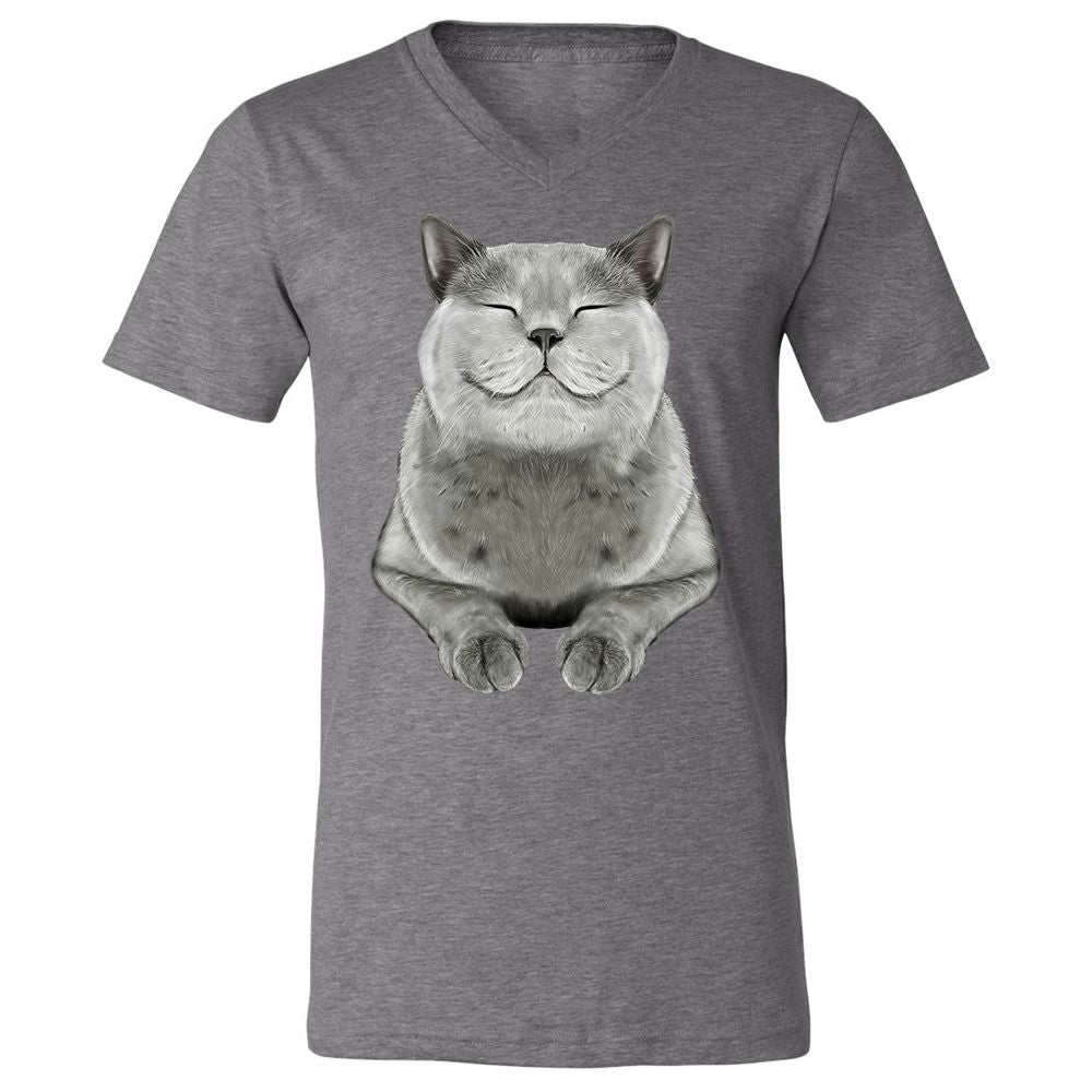 Unisex V-Neck T-Shirt - DRVCAR69 - Deep Heather - 13