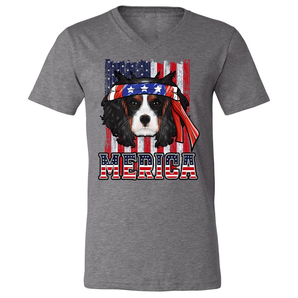 Unisex V-Neck T-Shirt - PRX98J7N - Deep Heather - 13