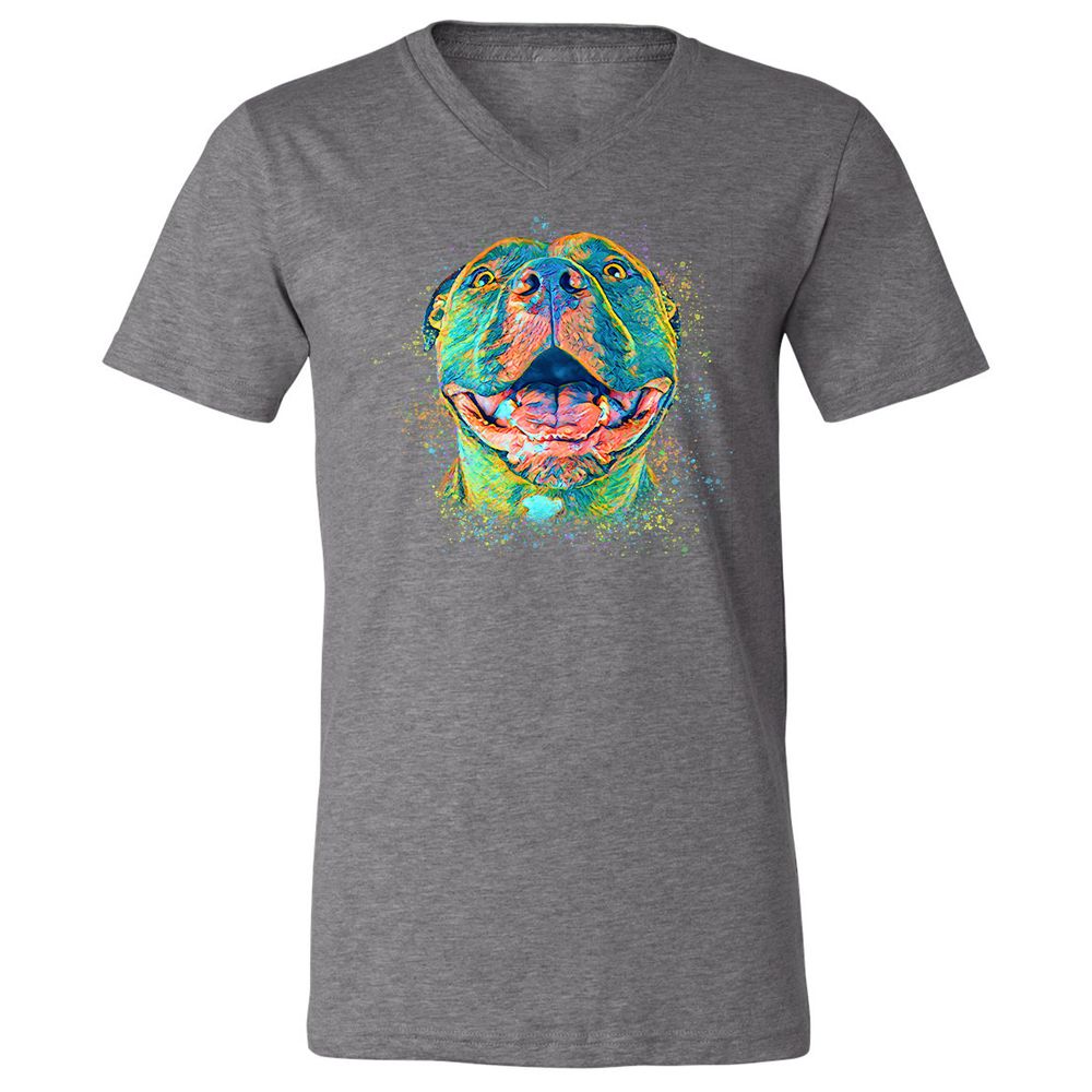Unisex V-Neck T-Shirt - BVZ1ANJK - Deep Heather - 13