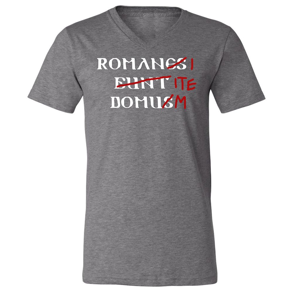 Unisex V-Neck T-Shirt - VDG69XFS - Deep Heather - 13