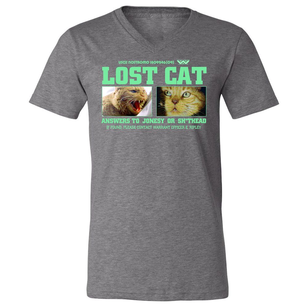 Unisex V-Neck T-Shirt - R84XMN4U - Deep Heather - 13
