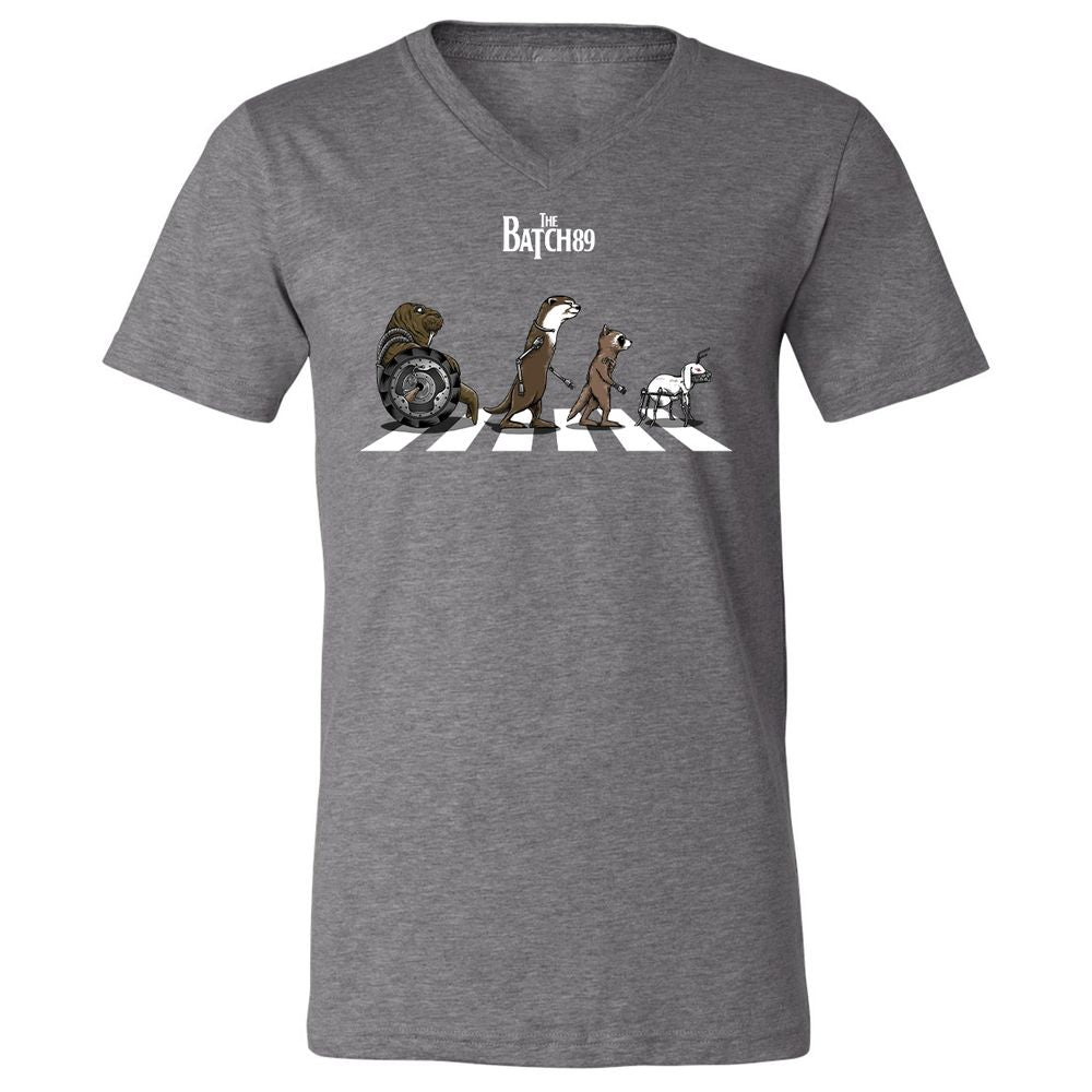 Unisex V-Neck T-Shirt - 8LQ1188B - Deep Heather - 13