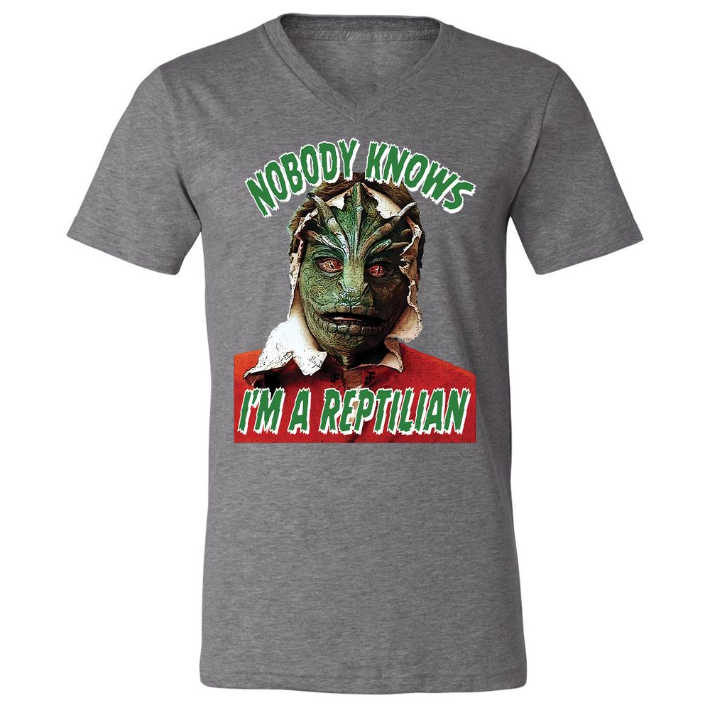 Unisex V-Neck T-Shirt - 3BEGK8AX - Deep Heather - 13
