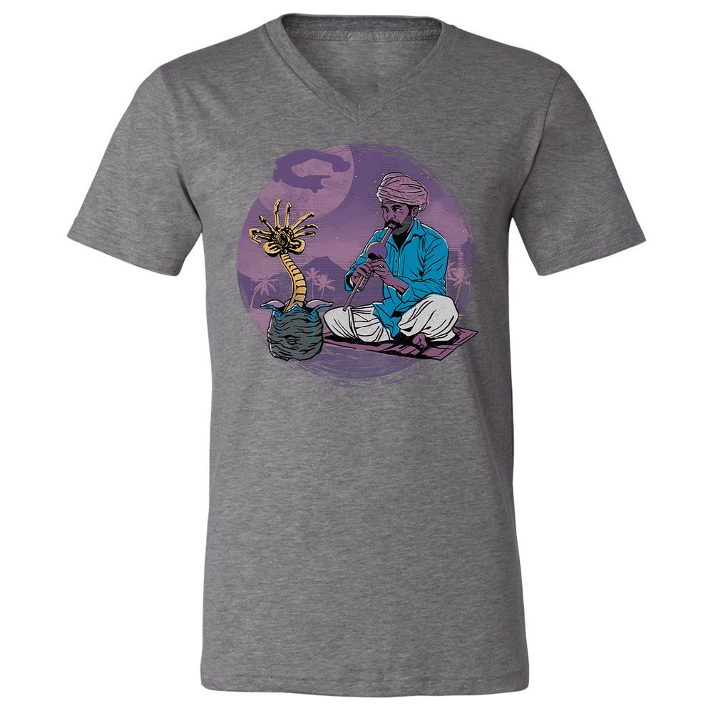Unisex V-Neck T-Shirt - 2W9BNYK4 - Deep Heather - 13