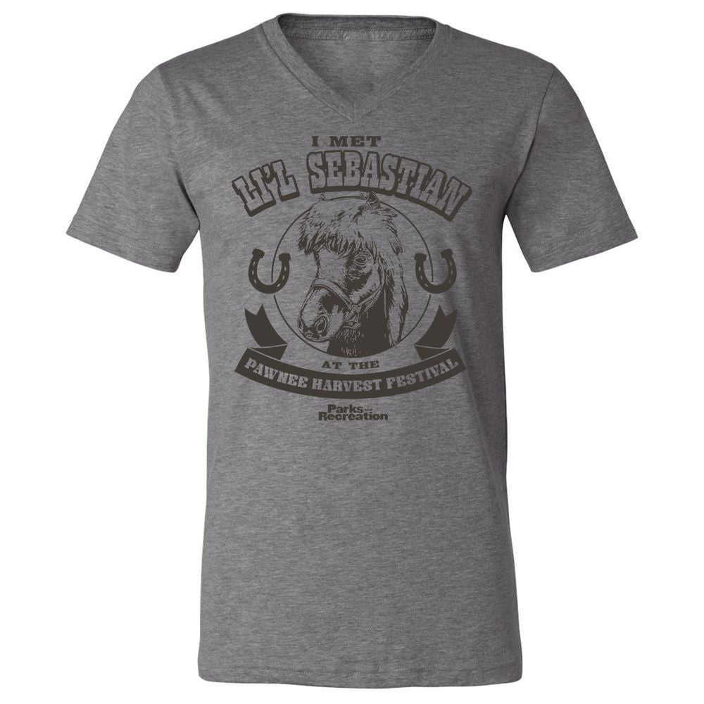 Unisex V-Neck T-Shirt - QMHL7322 - Deep Heather - 13
