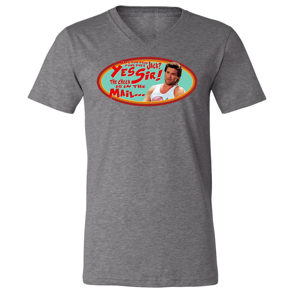 Unisex V-Neck T-Shirt - HZVFGSY8 - Deep Heather - 13