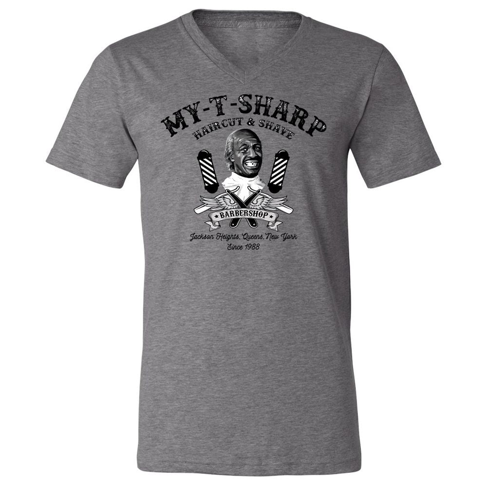 Unisex V-Neck T-Shirt - DFD96A2Y - Deep Heather - 13