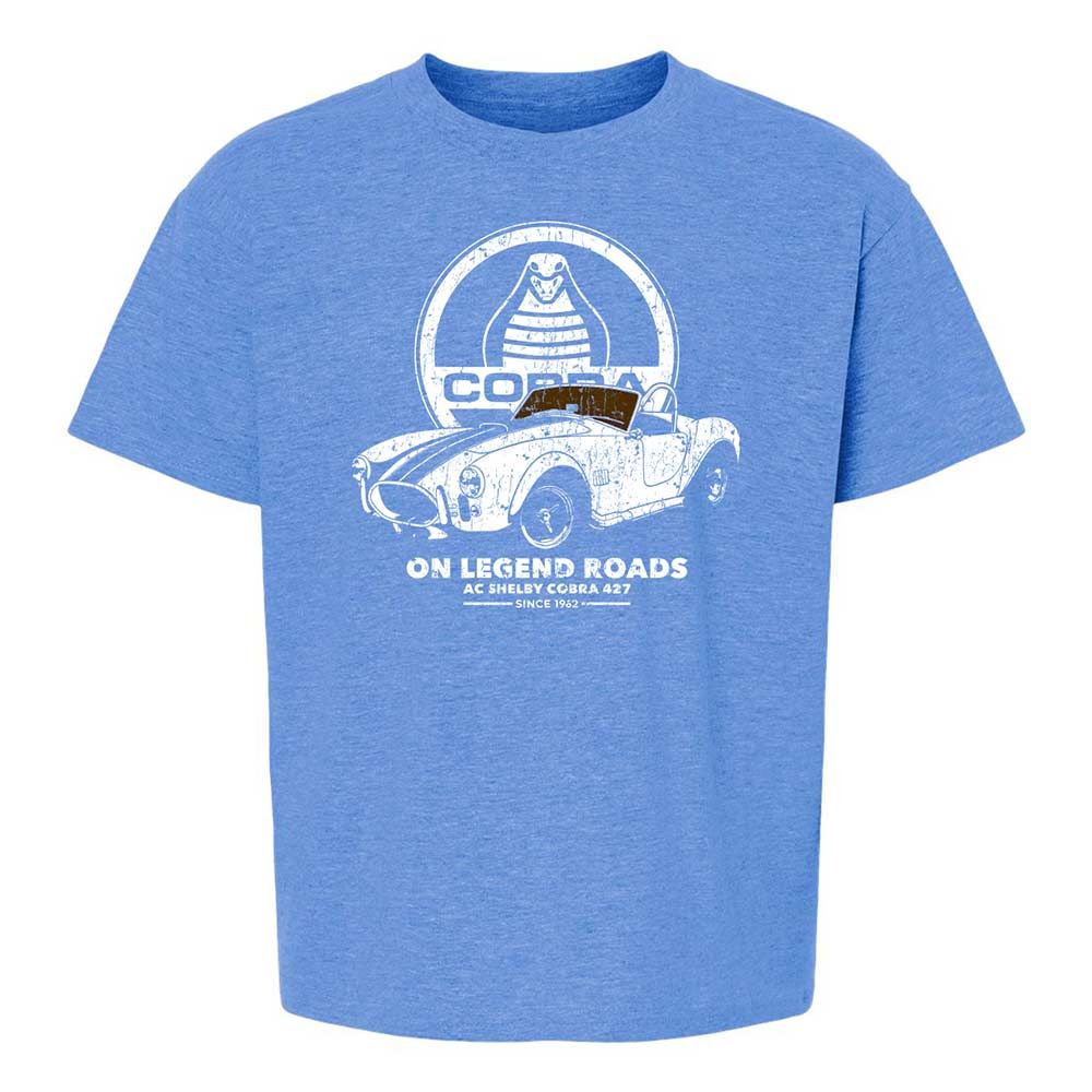 Kids T-Shirt - 9V3ZCR21 - Heather Royal - 13