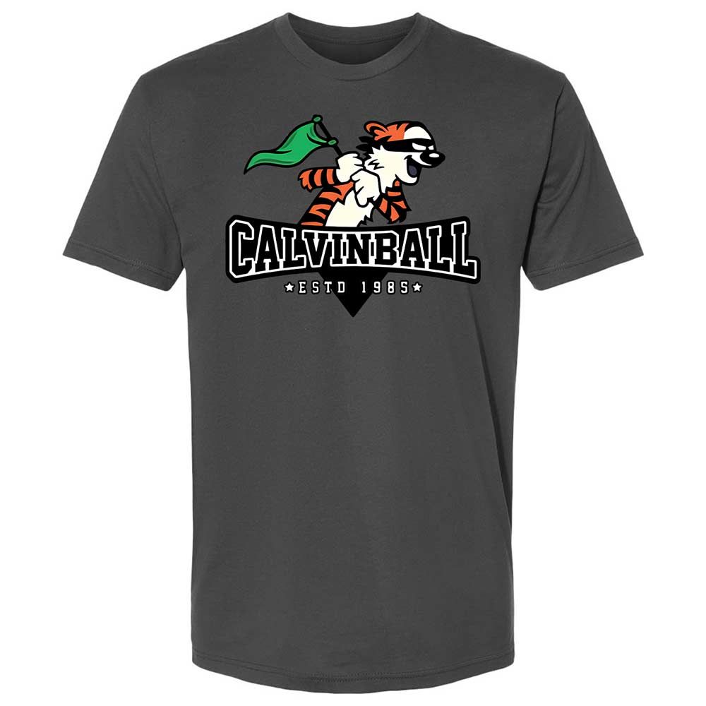 Calvinball - Heavy Metal - 13