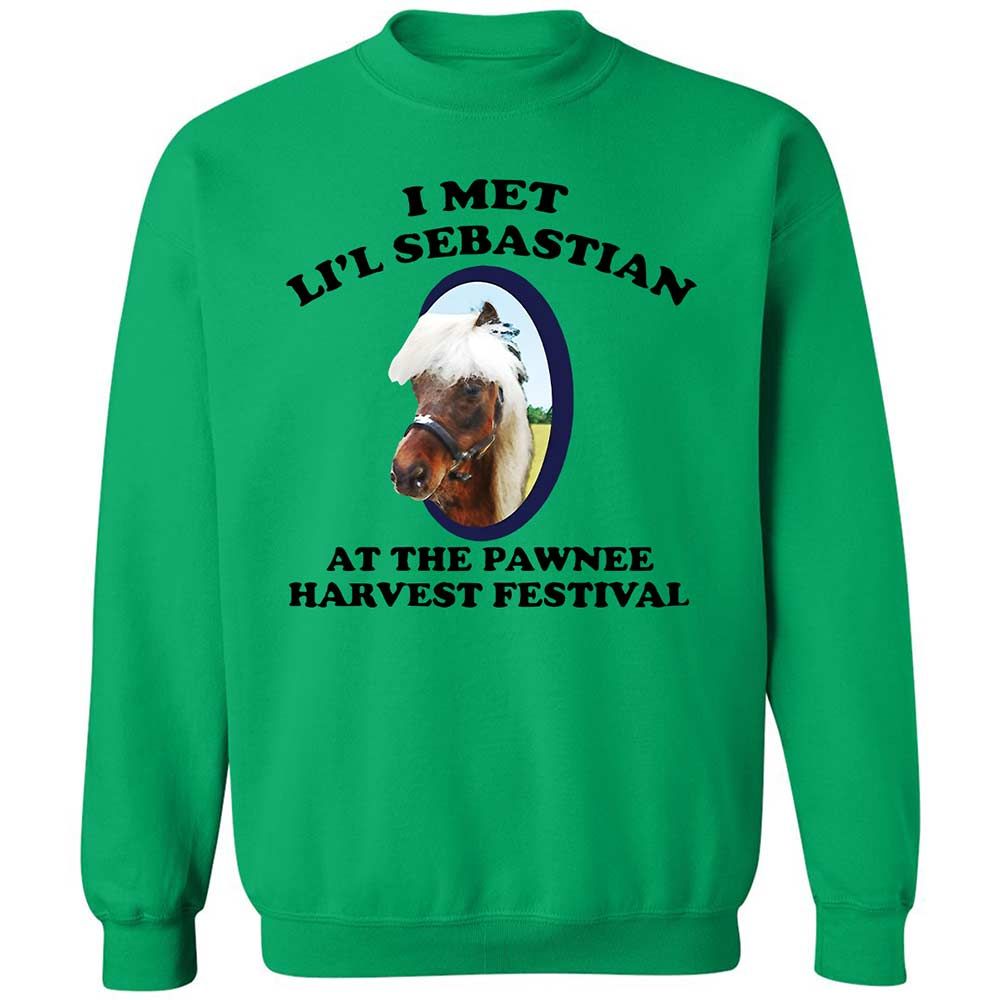 Classic Unisex Sweatshirt - TBM26TRM - Irish Green - 13