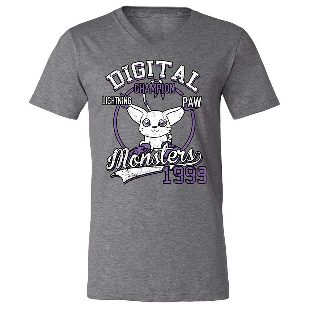 Unisex V-Neck T-Shirt - PQGXRYLZ - Deep Heather - 14
