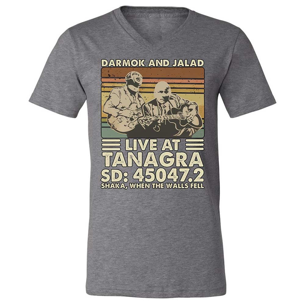 Unisex V-Neck T-Shirt - 1L2HHTDF - Deep Heather - 14