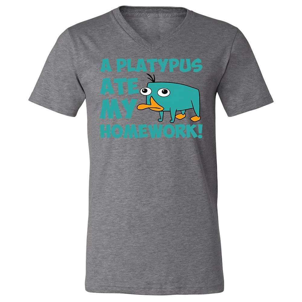 Unisex V-Neck T-Shirt - 5LF2ZZDD - Deep Heather - 14
