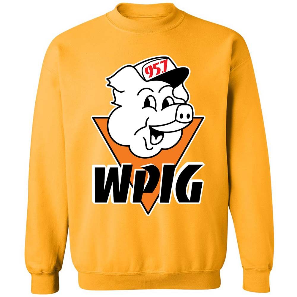 Wpig 95.7 Radio Station - Gold - 14