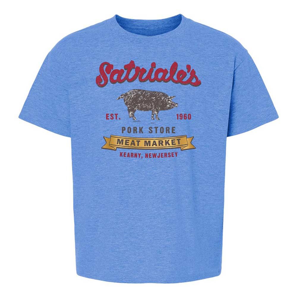 Kids T-Shirt - 6LPX1Y8H - Heather Royal - 14