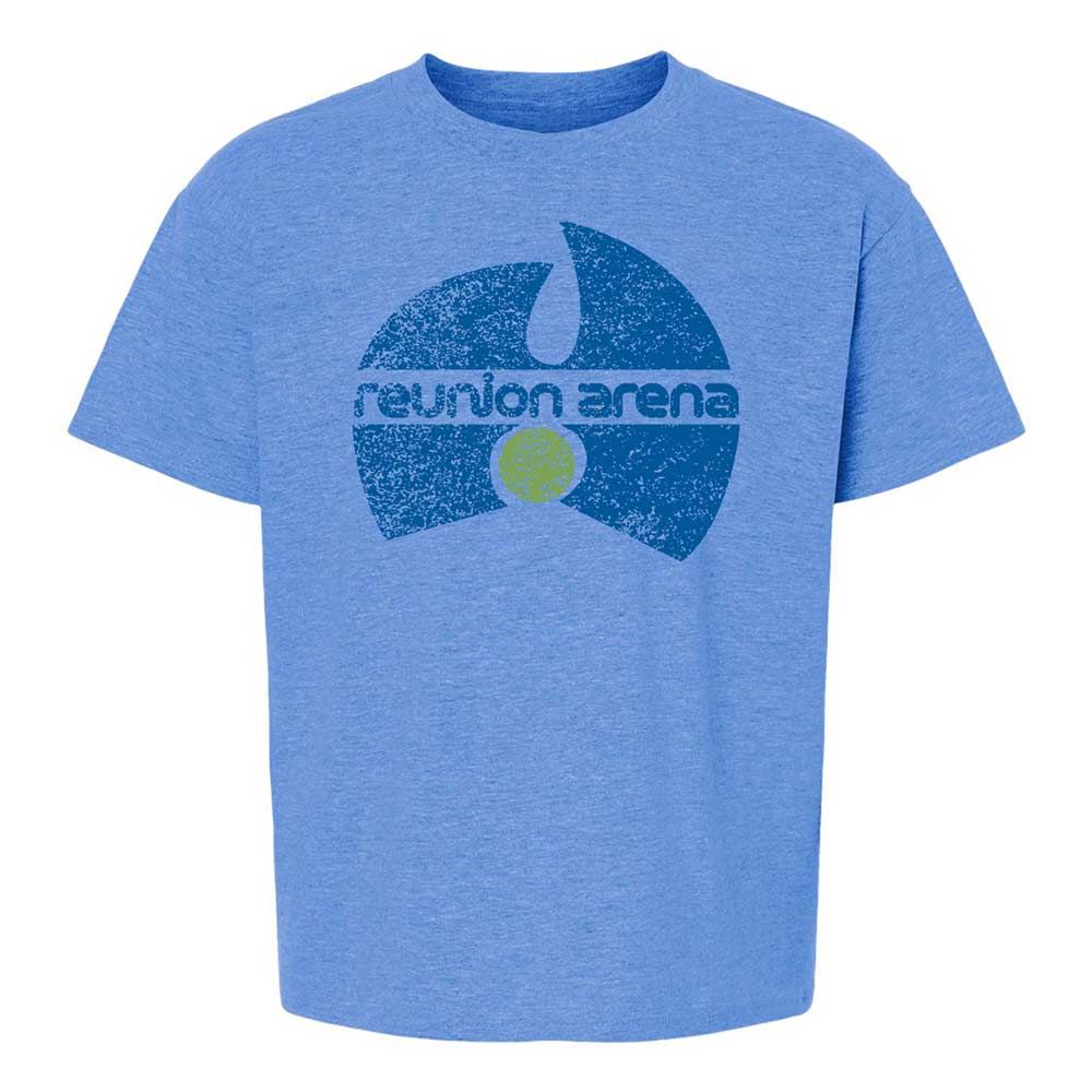 Kids T-Shirt - N32X1K4J - Heather Royal - 14