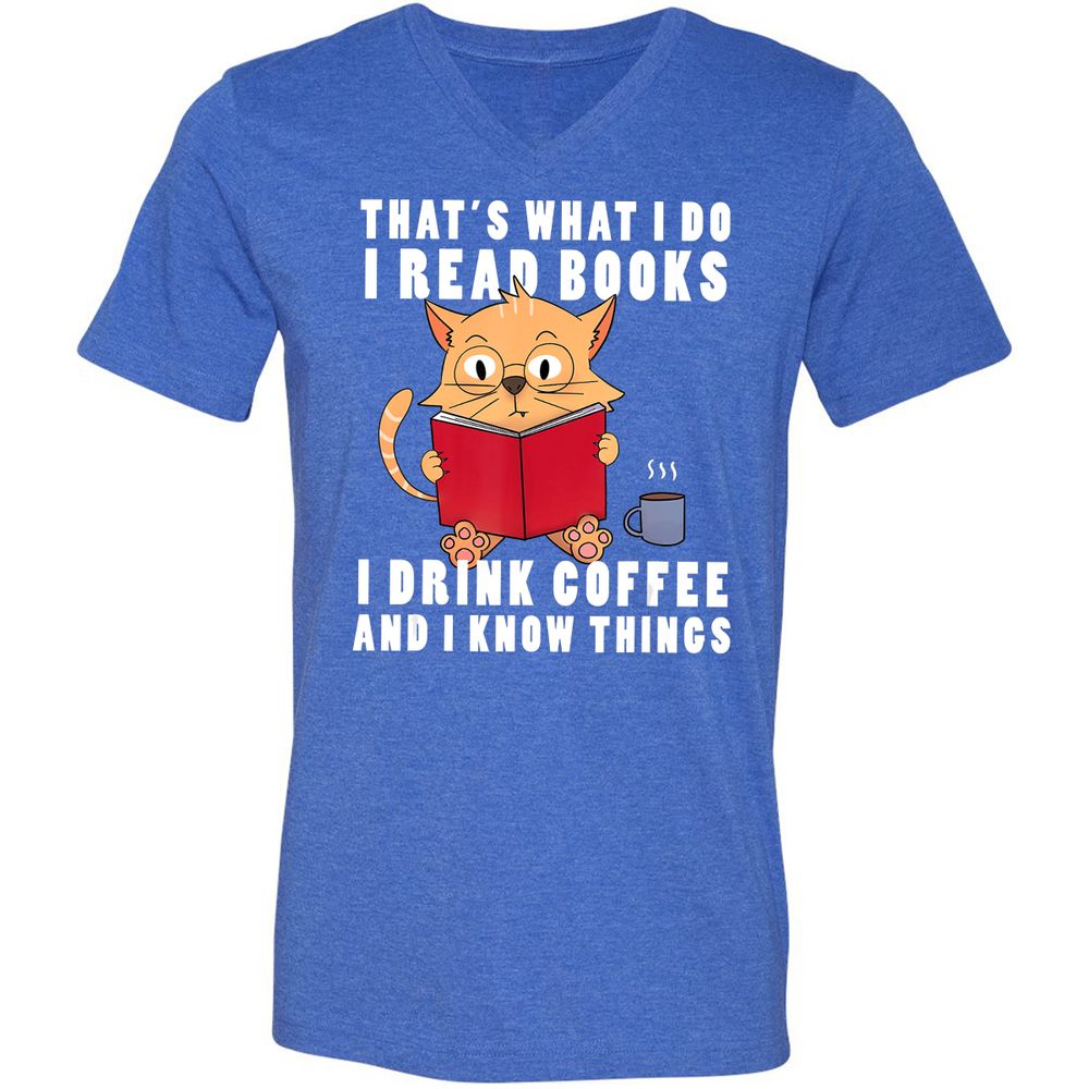 Unisex V-Neck T-Shirt - R2HNWBZJ - Heather True Royal - 14