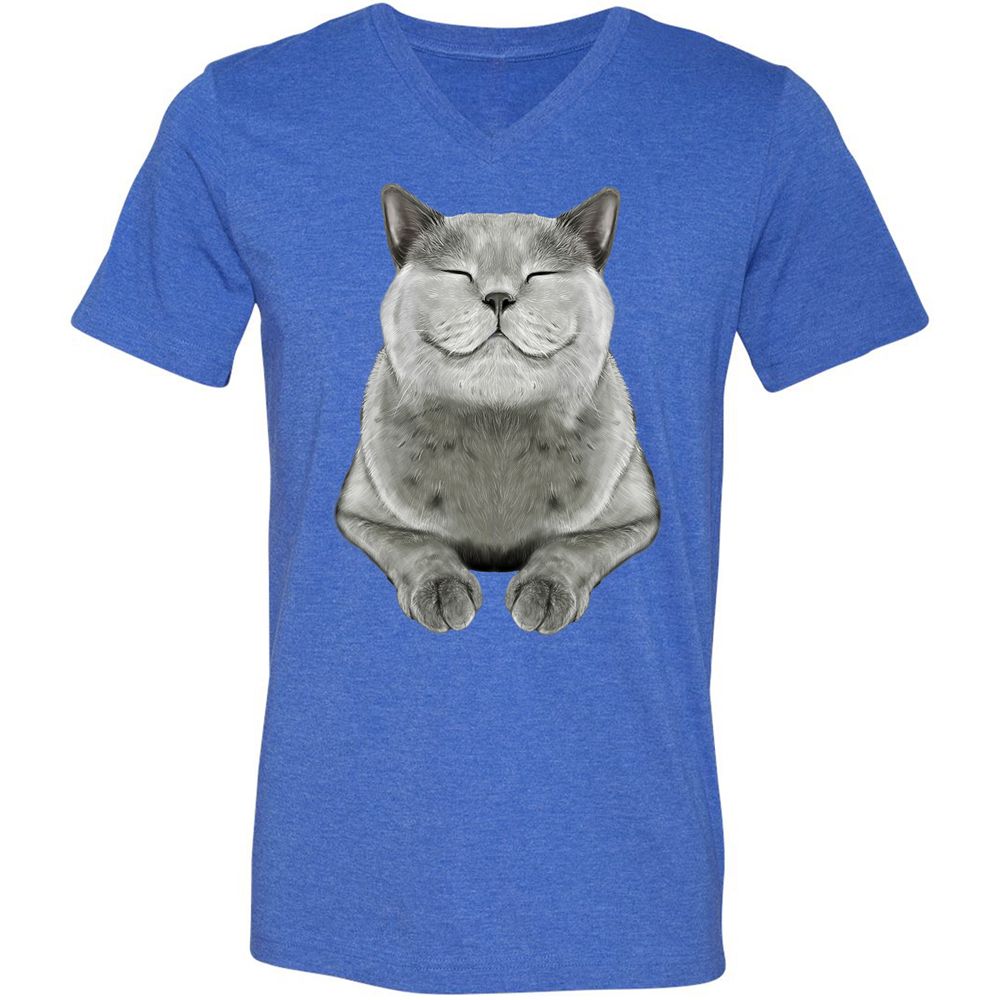 Unisex V-Neck T-Shirt - DRVCAR69 - Heather True Royal - 14