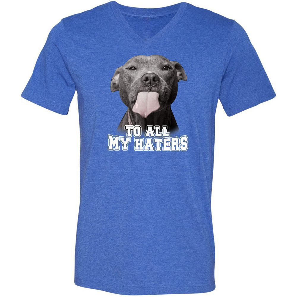 Unisex V-Neck T-Shirt - 3Z36GRAF - Heather True Royal - 14