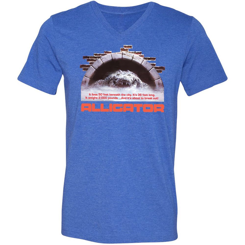 Unisex V-Neck T-Shirt - 2ZSVGE16 - Heather True Royal - 14