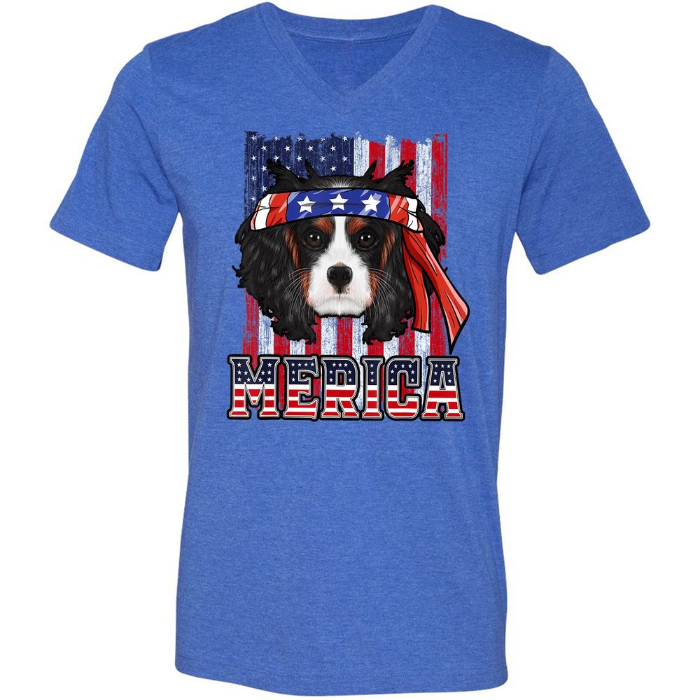 Unisex V-Neck T-Shirt - PRX98J7N - Heather True Royal - 14
