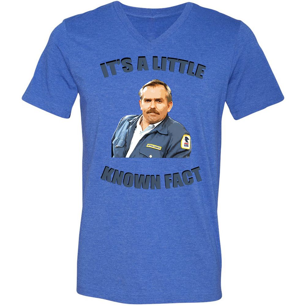 Unisex V-Neck T-Shirt - Y4Q4STCB - Heather True Royal - 14