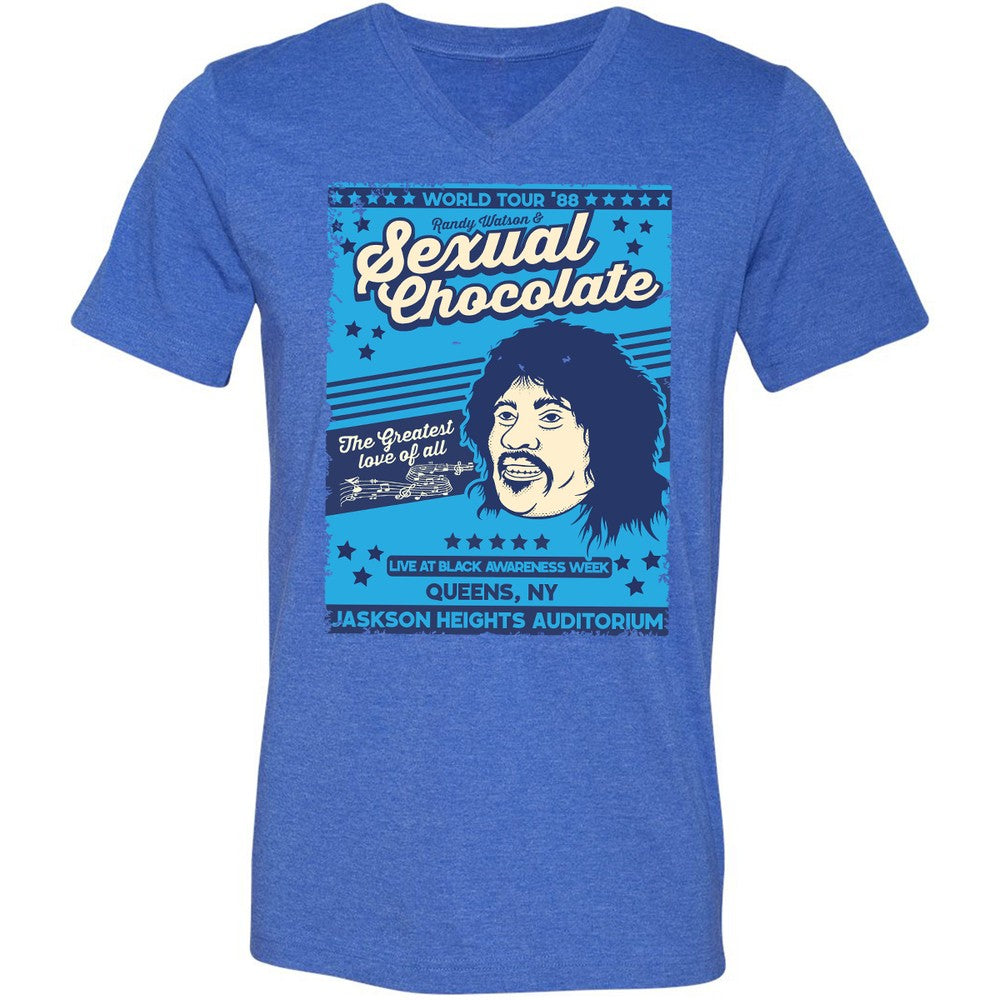 Unisex V-Neck T-Shirt - YM7GA5E7 - Heather True Royal - 14