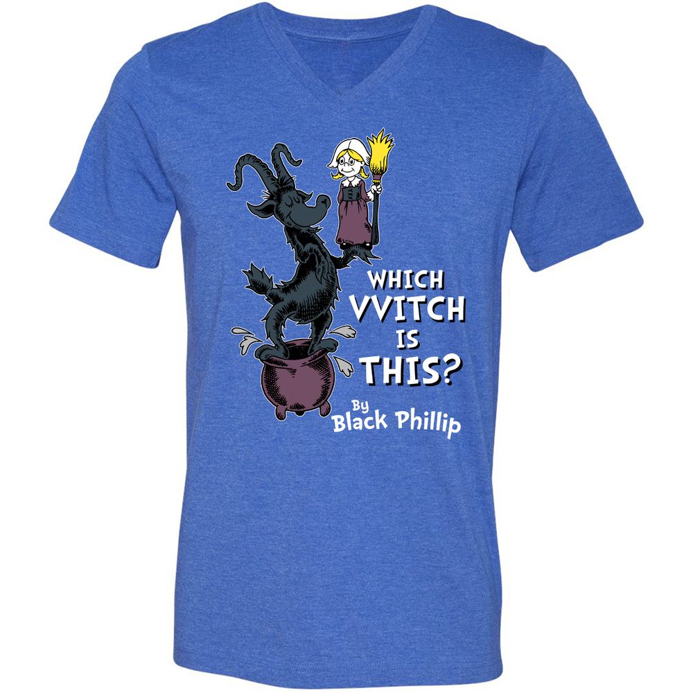 Unisex V-Neck T-Shirt - SBCW72VC - Heather True Royal - 14