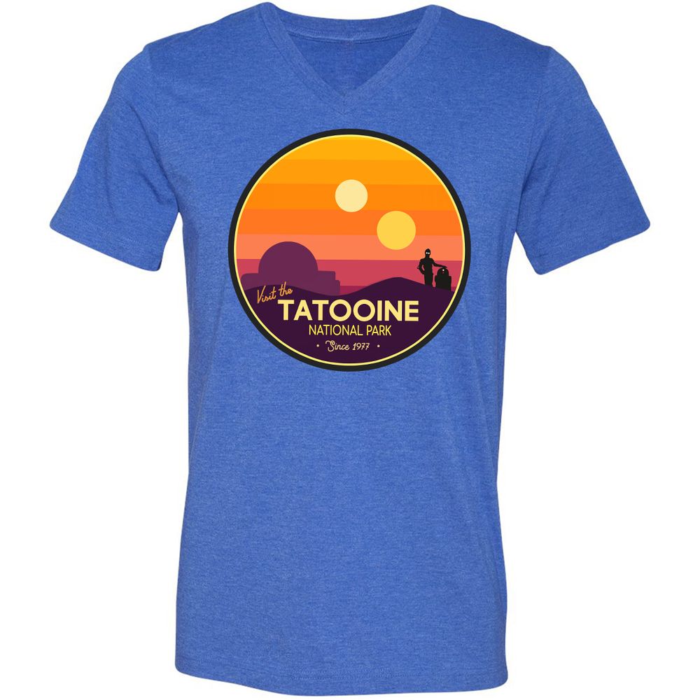 Unisex V-Neck T-Shirt - PZT85NVG - Heather True Royal - 14