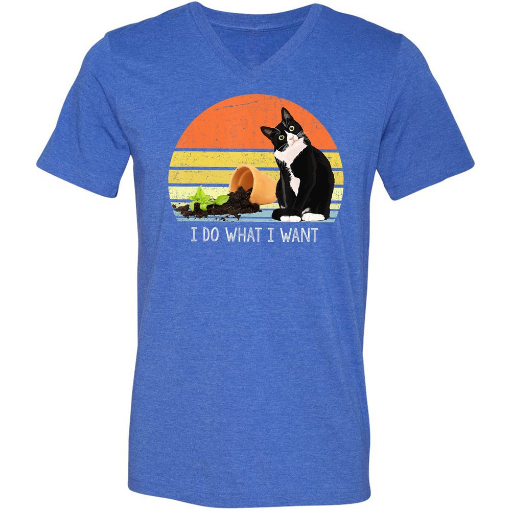 Unisex V-Neck T-Shirt - XWG6LZAG - Heather True Royal - 14