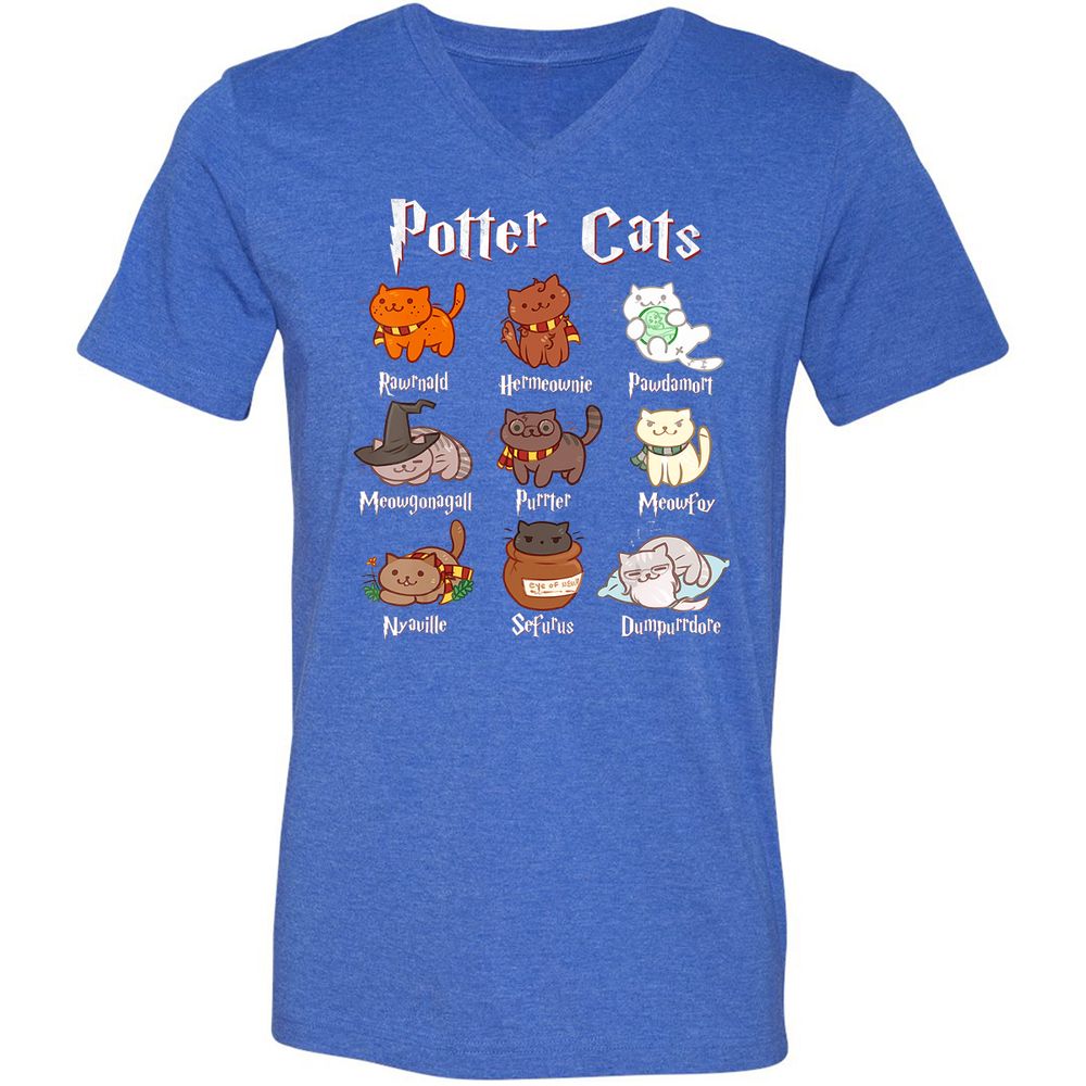 Unisex V-Neck T-Shirt - T7NK24Y6 - Heather True Royal - 14