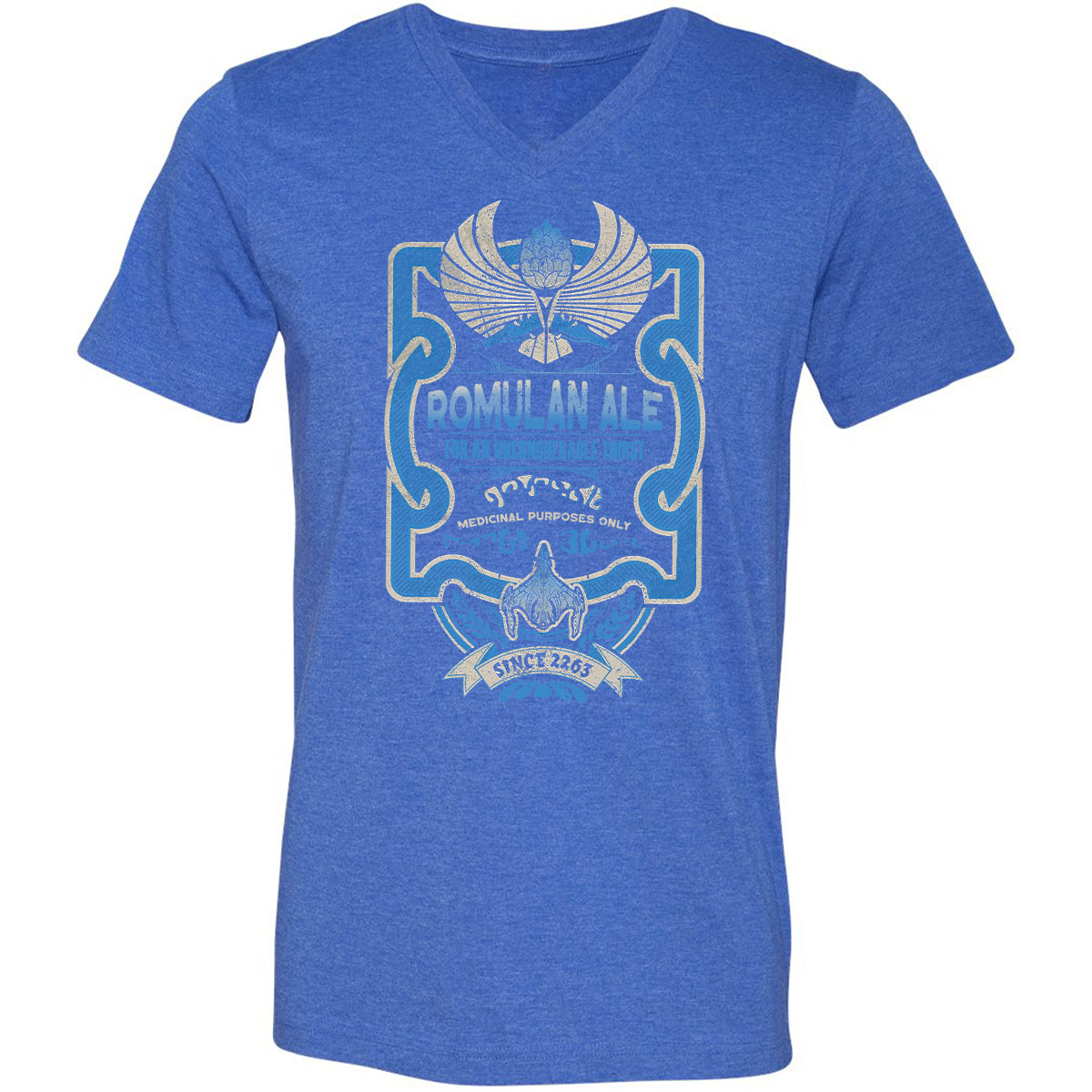 Unisex V-Neck T-Shirt - R5HQYUBM - Heather True Royal - 14