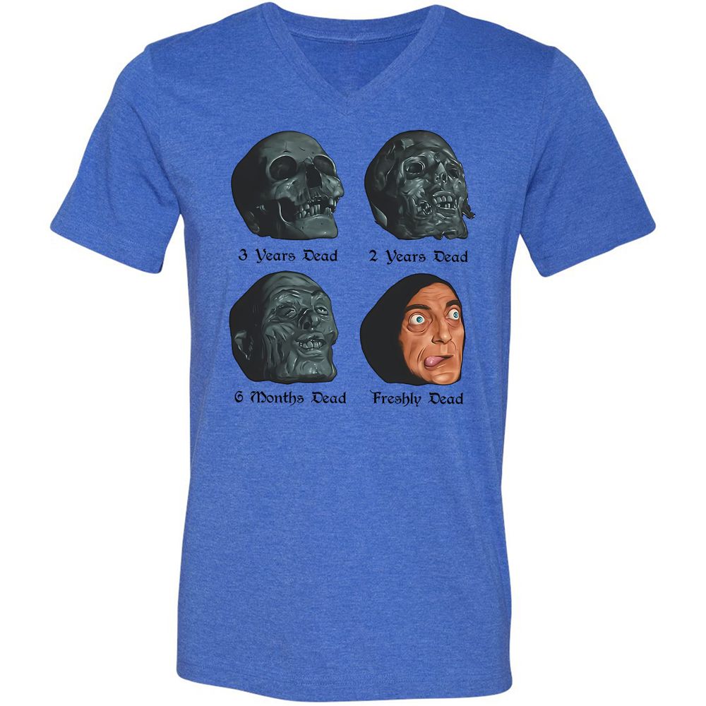 Unisex V-Neck T-Shirt - CAFY47VA - Heather True Royal - 14