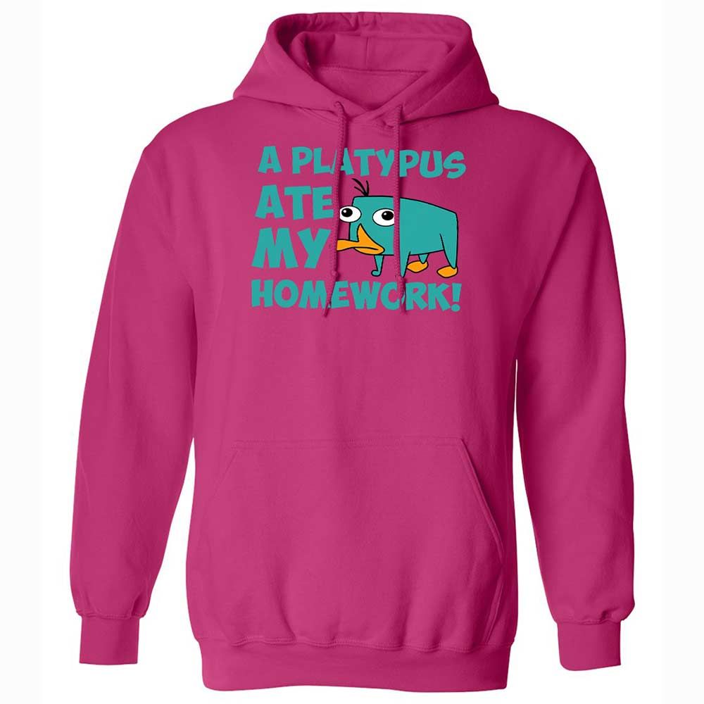 Classic Unisex Hoodie - 6LCQ1Y8Y - Heliconia - 14