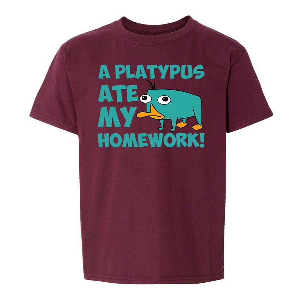 Kids T-Shirt - DA3TH5ZN - Maroon - 14